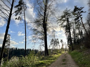 Openseasonride